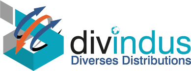 Logo DIVINDUS 3D
